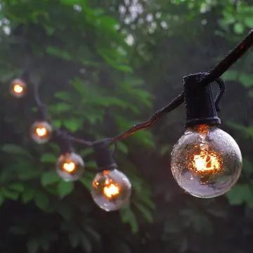 Clear G40 Globe Bulb Edison Festoon Lights