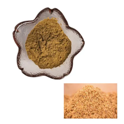 Factory Suppy High Quality Rice bran extract powder/Oryza Sativa Bran Extract
