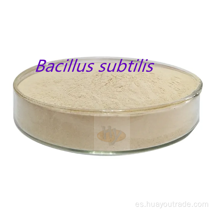 Bacillus subtilis agua insoluble 200CFU/g