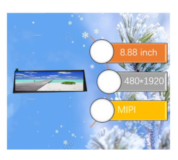 8.88 Inch TFT LCD 480*1920 Display with MIPI Interface