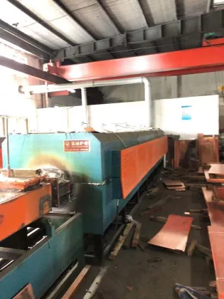 Gas protected sintering furnace