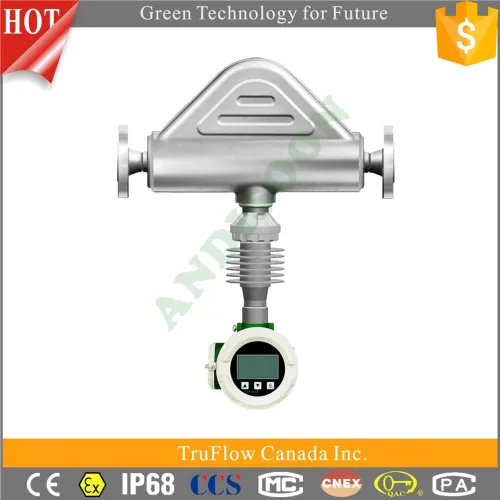 Dn25 Gas Meter With Remote Control/biogas Flow Meter, High Quality Dn25