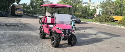 Custom Car Golf Cart Personalization