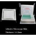 Prepared Laboratory Microscope Adhesive Slides