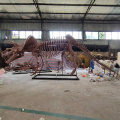 Full Size Dinosaur Skeleton Triceratops Skeleton for Sale