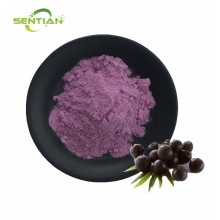 High Quality Blackcurrant Powder in Bulk