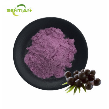 High Quality Blackcurrant Powder in Bulk