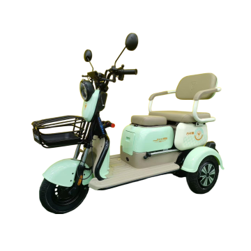 Compact and Stylish Design Electric Tricycle for Urban Commuting