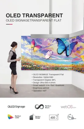 30 Inch Transparent OLED Display Touch Screen - Ultra Thin See-Through OLED