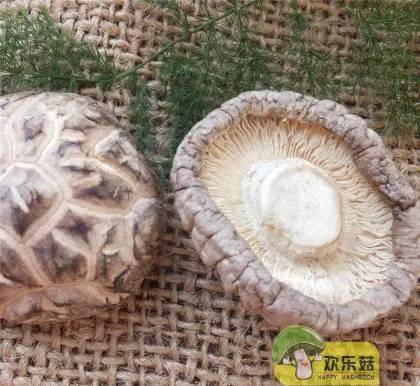 Whole Dried White Flower Shiitake Mushrooms