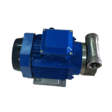 1" Stainless Steel Circulation Rotary Vane Diesel Water Oil Pump (YB-65)
