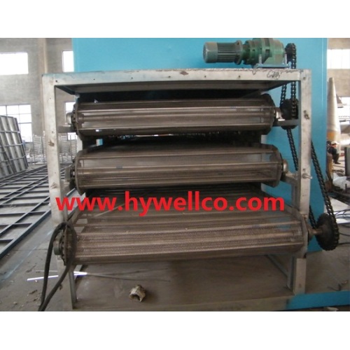 Potato Slices Belt Type Dryer