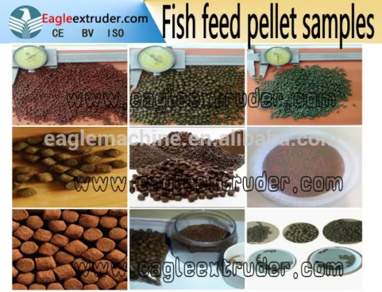 CE,ISO certificate fish feed production line/fish food pellet processing machinery
