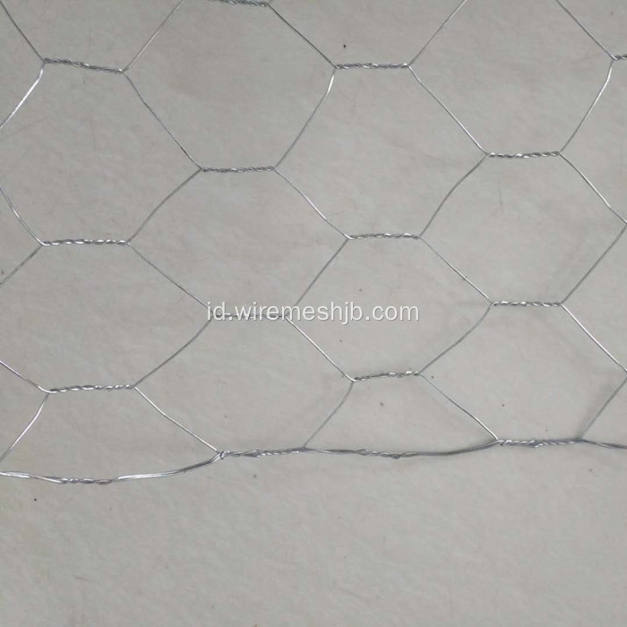 Hot dicelup Galvanized Chicken Wire Mesh