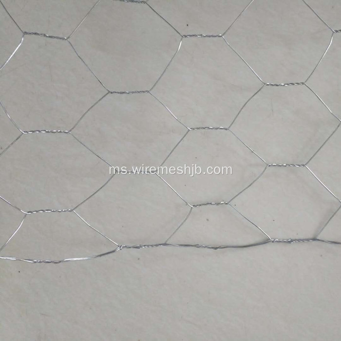 Mangkuk Galvanized Chicken Wire Mesh