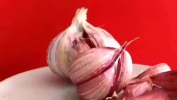 pure fresh normal white garlic