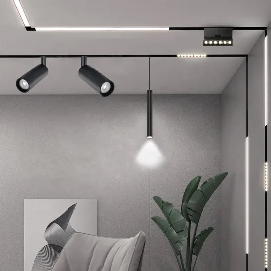 Magnetic Track Lighting System: 220V LED Spot Light with Rail