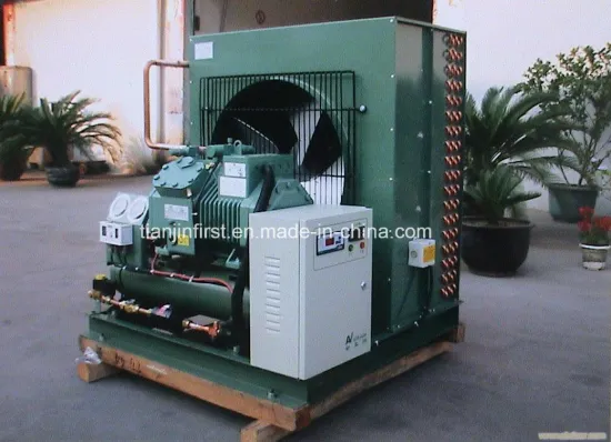 Air Cooled Condensing Unit for Cold Storage Room