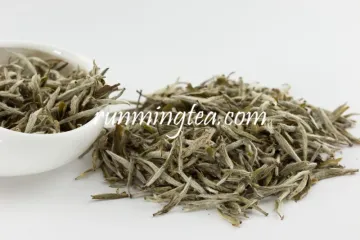 Fujian Fuding Silver Needle White Tea
