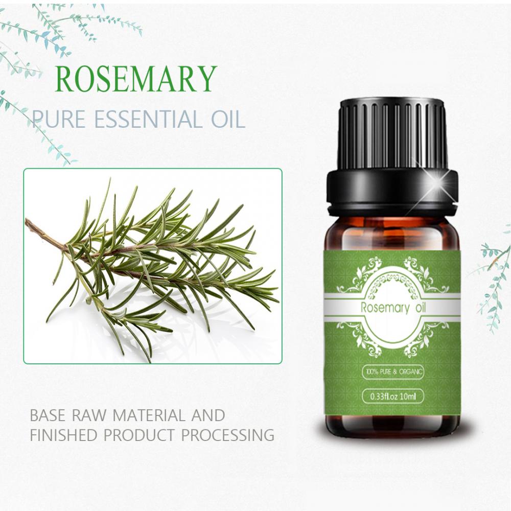 Factory supply natural rosemary essential oil hair growth