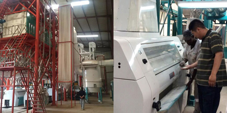 50t per day corn mills maize flour mill machine for Africa market