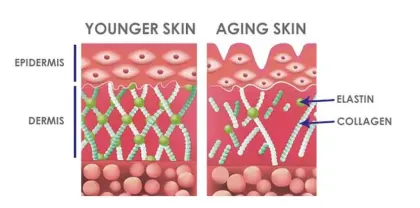 High Purity Ghk-Cu Peptide Copper Peptide Collagen