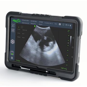 Fast Scan C Ultrasound machine for sheep