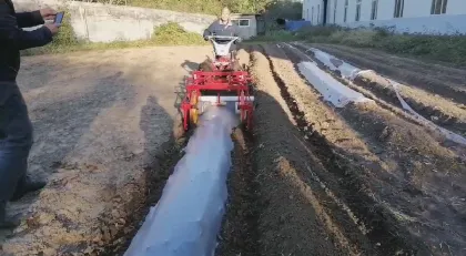 Rotary Cultivator and Agricultural Machinery Bearing Price
