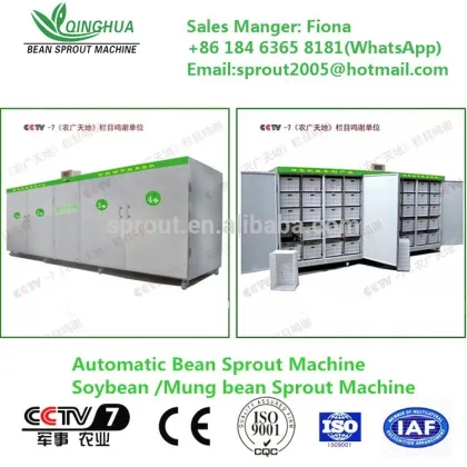Automatic Bean Sprout Machine/Soybean Sprout Machine/Mung bean Sprout Machine