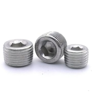 OEM High Precision CNC Stainless Steel Pipe Fittings BSP BSPT NPT Hex Socket Plug