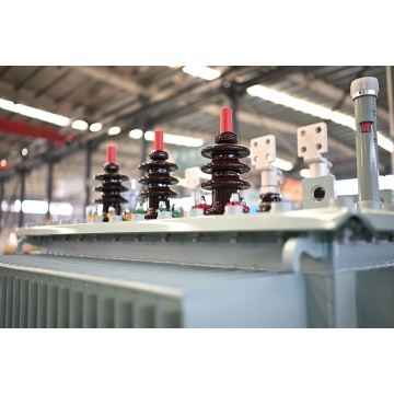 Trasformatore di distribuzione S13-M-2500 20KV