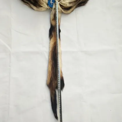 Wholesale Soft Fitch fur Tanned Ferrets Fur  Fitch Pelt