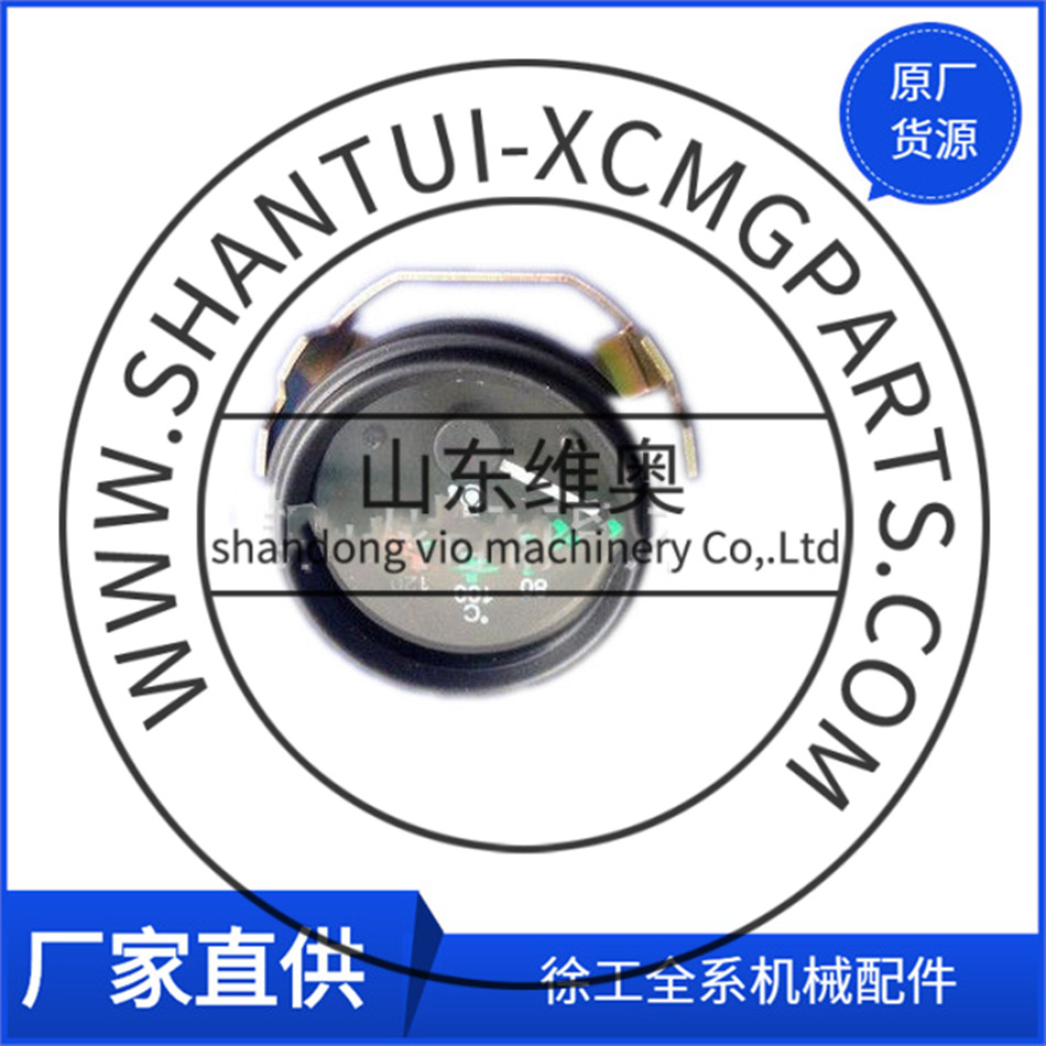 XCMG Straßenrollenöltemperaturanzeige 38085010620860108088