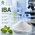 Indole-3-Butyric Acid IBA 98% TC لتركيبات تنظيم التجذير ونمو النبات