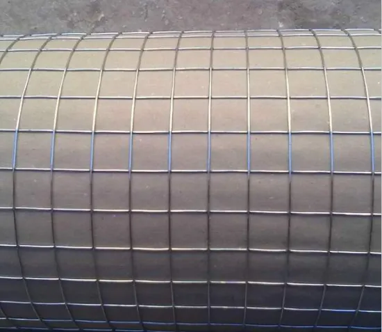 electric gi 1x1 2x2 welded wire mesh (iso9001 factory)
