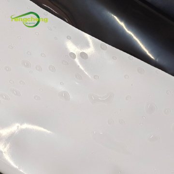 Anti UV 200micron ldpe panda film