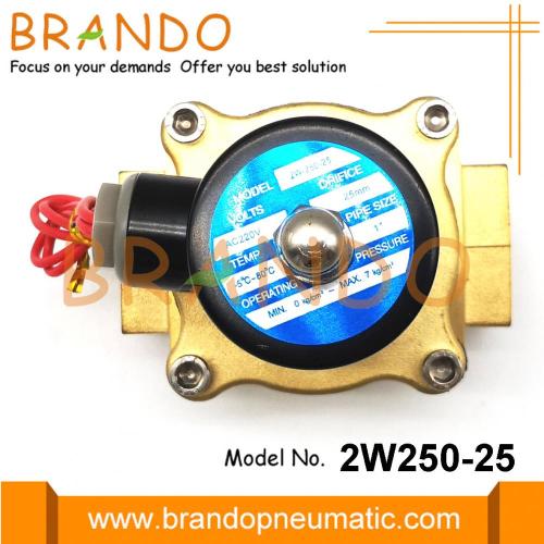 2W250-25 Water magneetventiel 1 Inch 240V 120V