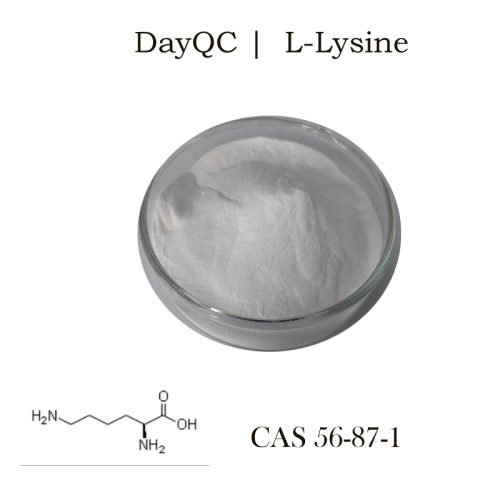 Heißverkaufs Lebensmittelqualität Additive CAS 56-87-1 L-Lysin