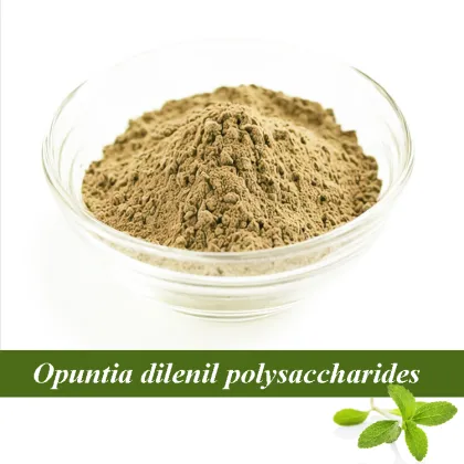 Pueraria Mirifica Powder Wholesale