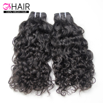Free Sample Water Wave Brazilian Hair Bundles for Black Women - GS Wholesale