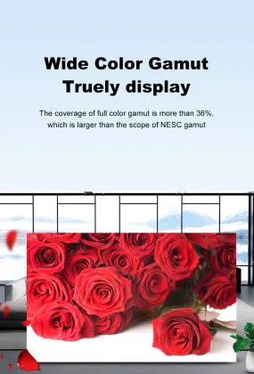Outdoor electronic advertising led display screen
