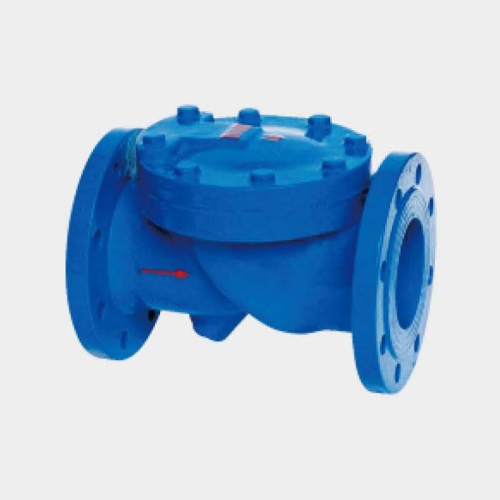 Rubber flap check valve