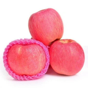 Buy Fresh Fuji Apple Fruit, Red Fuji Apples, Fresh Custard Apple  Fruit/delicious Apple Fruit/mature Apples Fruit For Sale from MSGLOBALGROUP  CO., LTD., Thailand