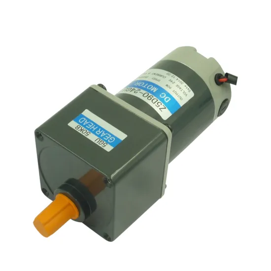 90 Watt 12V/24V 200kg Low RPM High Torque DC Motor