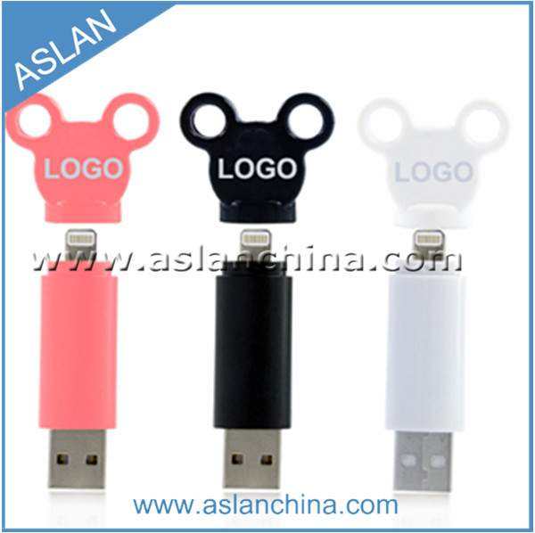 Portable 8GB USB Memory, Charge, Sync for Phone (AA-033)