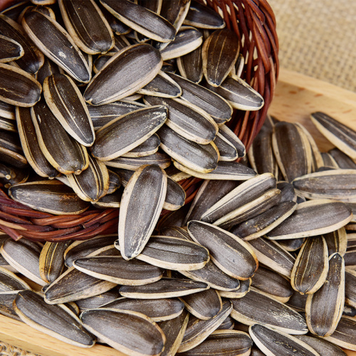 Roasted Sunflower Seeds nutrition