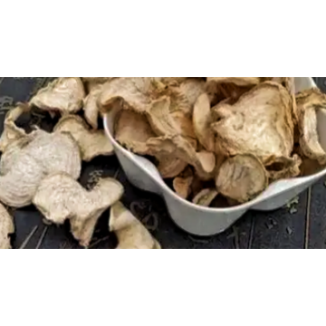 Premium Anti-Aging Brassica Rapa Extract Brassica Extract