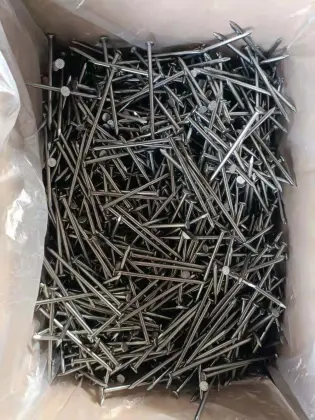 Iron nails/Common nails/Common wire nails