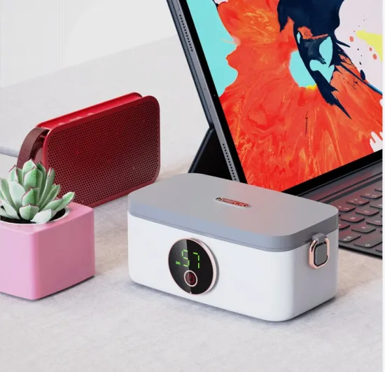 Portable Heated Electric Lunch Box: 1.05L Capacity, 110V/220V, Perfect for Heating Bento and Warmer Food - Christmas Japanese Style - Hot Sale