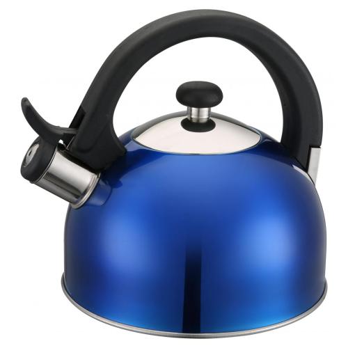 Painting Blue Stainless Steel Whistling Kettle